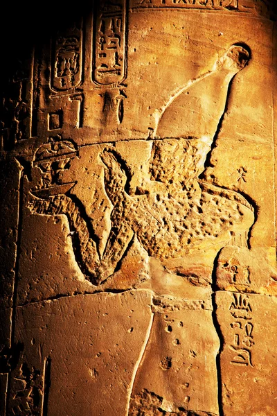 埃及纹理 — 图库照片