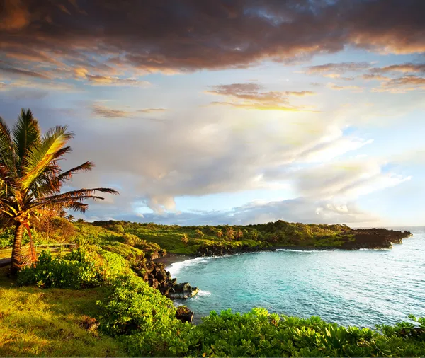 Isla de Hawaii Oahu Imagen De Stock