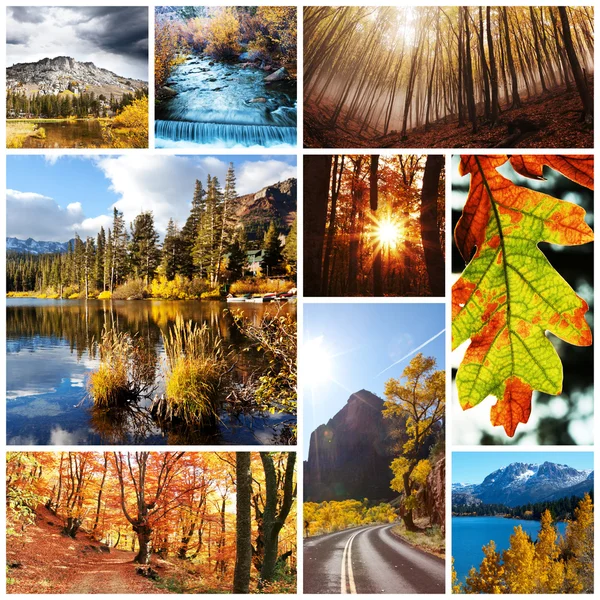 内华达山脉的秋天 — 图库照片