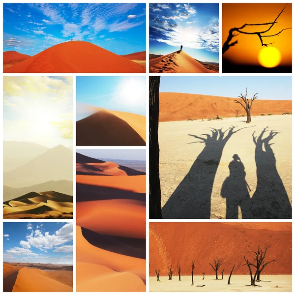 Reizen in woestijn — Stockfoto