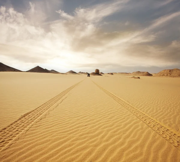 Друк в пустелі — стокове фото