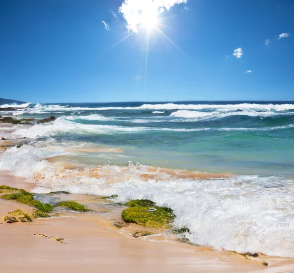 Stranden landskap — Stockfoto