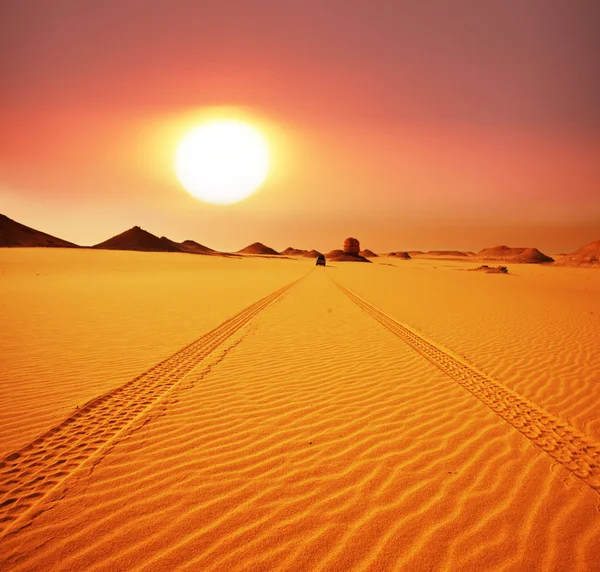 Desert on sunset — Stock Photo, Image