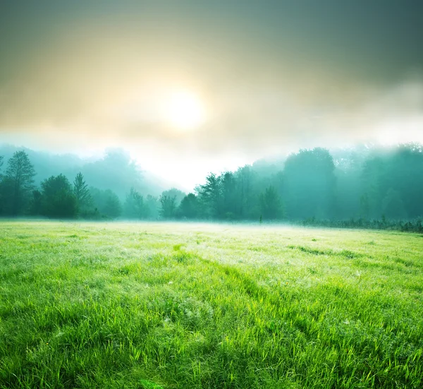 草原の霧 — ストック写真