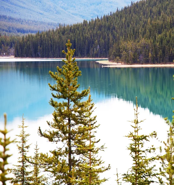 Канадское озеро — стоковое фото