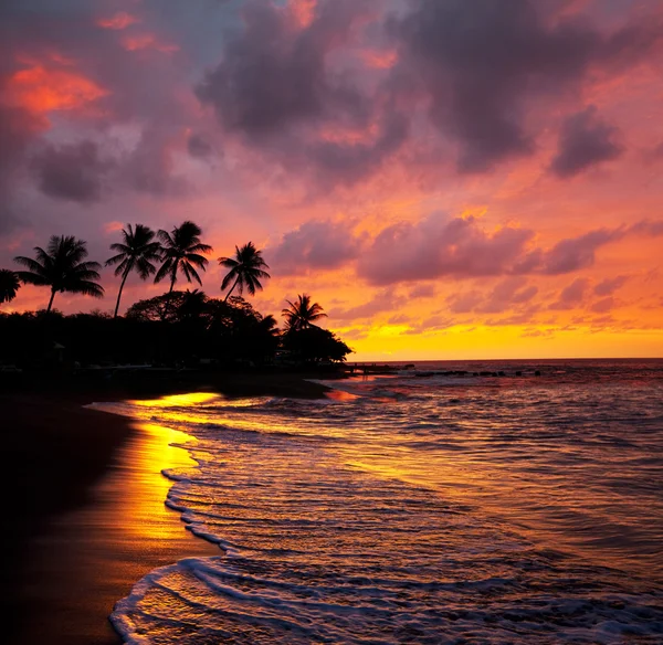 Tropisk strand på hawaii — Stockfoto