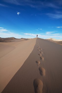 Hike in desert clipart