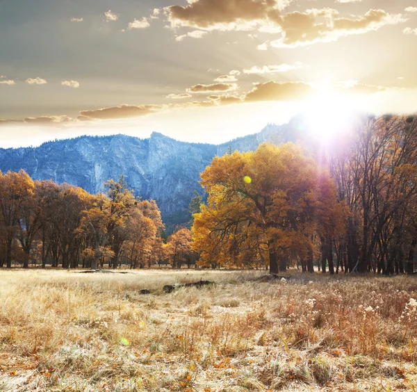 Осень в Йосемити — стоковое фото