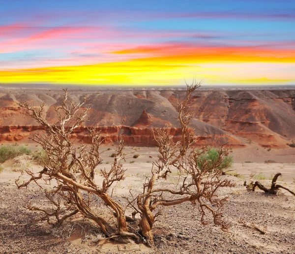 stock image Gobi desert