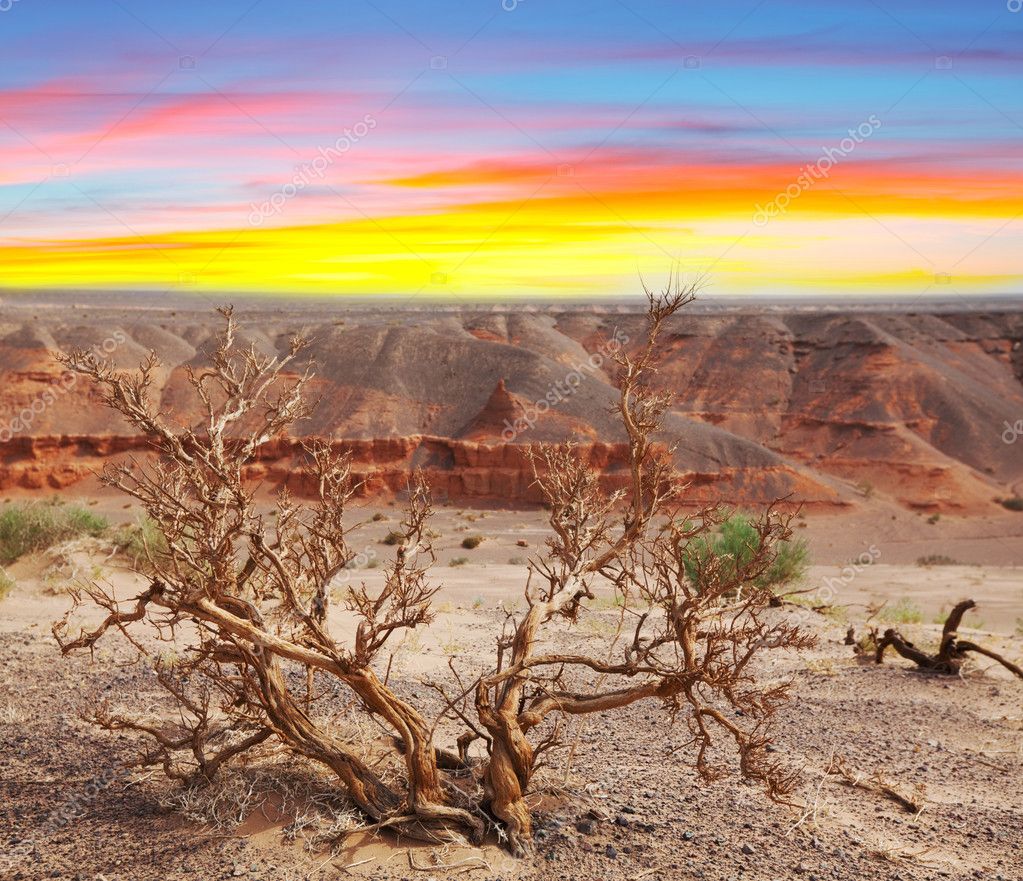 Gobi desert Stock Photo by ©kamchatka 5911510