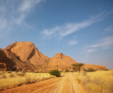 Afrika manzaraları