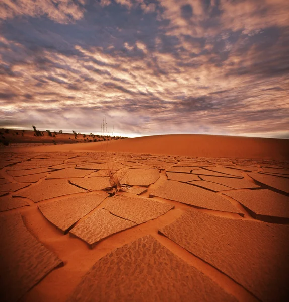 Terres arides — Photo
