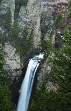 Yellowstone'da şelale