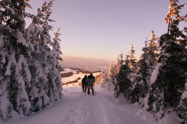 Vintern vandring på sunset — Stockfoto