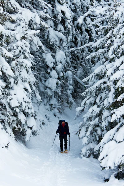 Winter hike — Stock Photo, Image