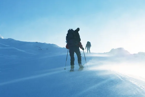 Winter wandeling — Stockfoto