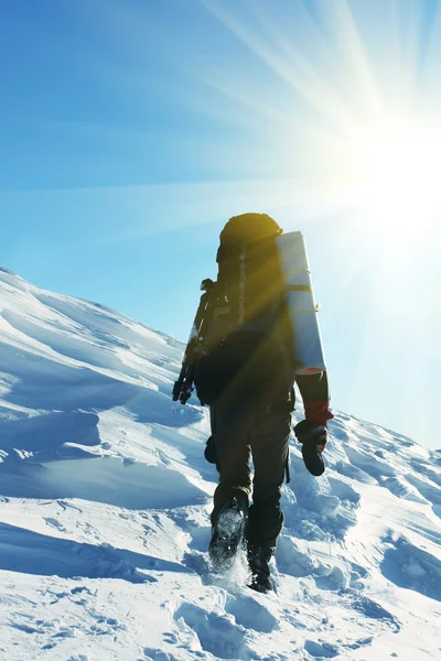 Vinter vandring — Stockfoto