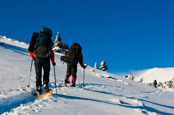 Vintersport i bergen — Stockfoto