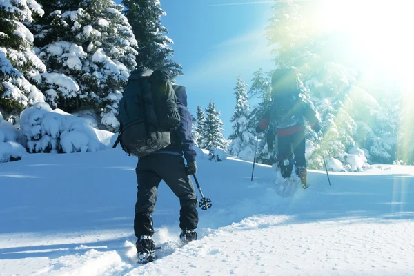 Escursioni invernali — Foto Stock
