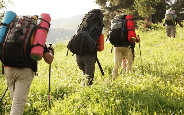 Summer hike — Stock Photo, Image