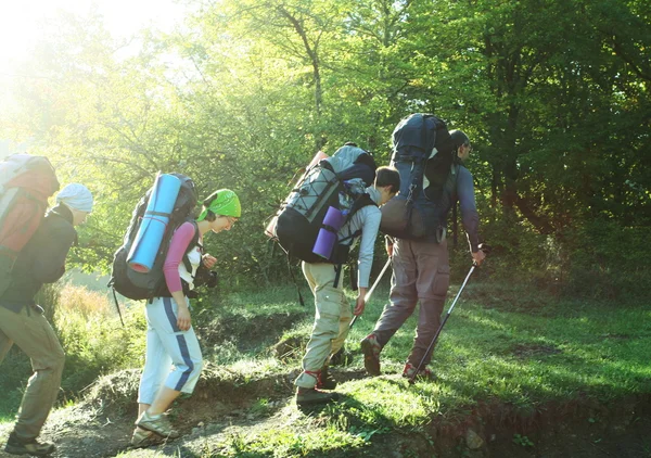 Friends in hike — Stock Photo, Image
