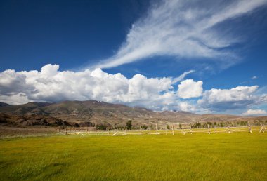 Altay