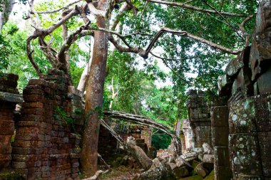 Angkor