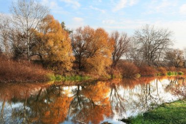 sonbahar creek