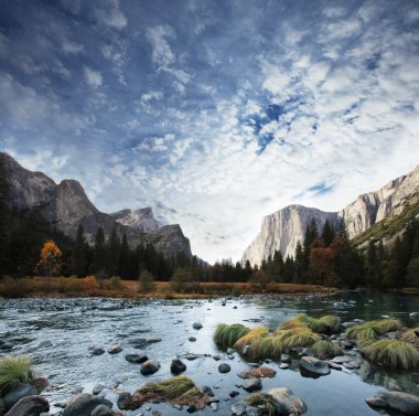 Autumn in Yosemite clipart