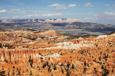 canyon bryce