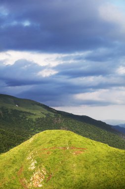 Yeşil tepe