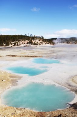 sıcak bahar Yellowstone