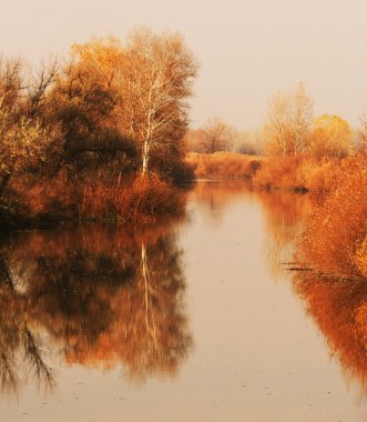 Lago de fielads