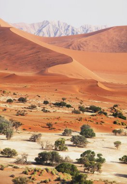 Namib