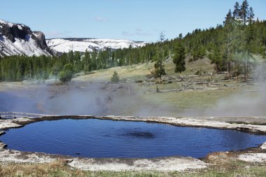 Yellowstone