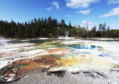 Yellowstone