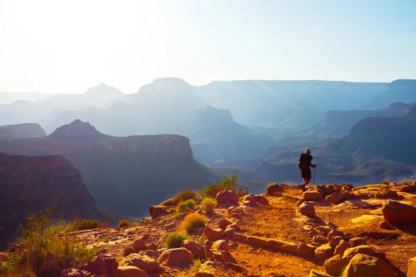 Hike in Grand Canyon — Stock Photo, Image