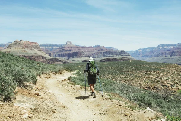 Vaellus Grand Canyonissa — kuvapankkivalokuva