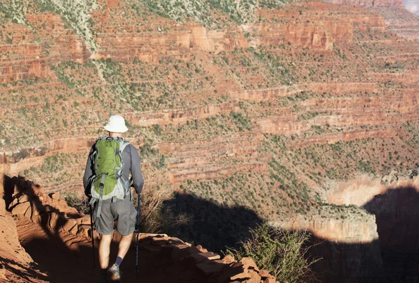 Wandelen in de grand canyon — Stockfoto