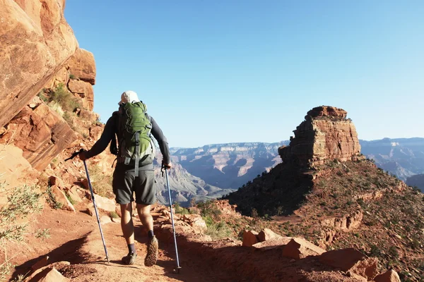 Vandring i Grand Canyon – stockfoto