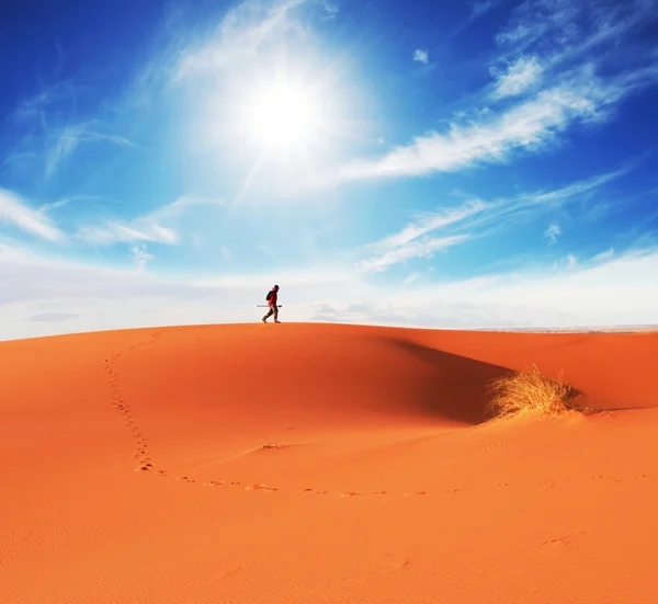 사막에서 하이킹 — 스톡 사진