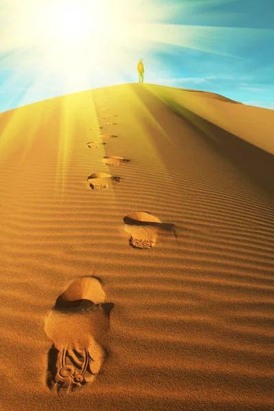 Wędrówka po pustyni — Zdjęcie stockowe