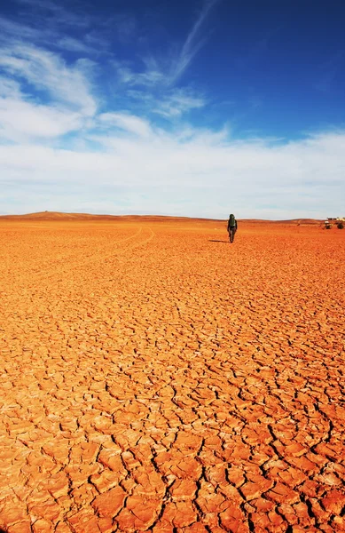 Caminata en el desierto —  Fotos de Stock