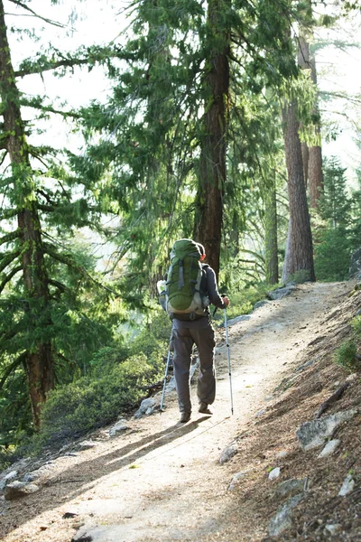 Hike in forest — Stock Photo, Image