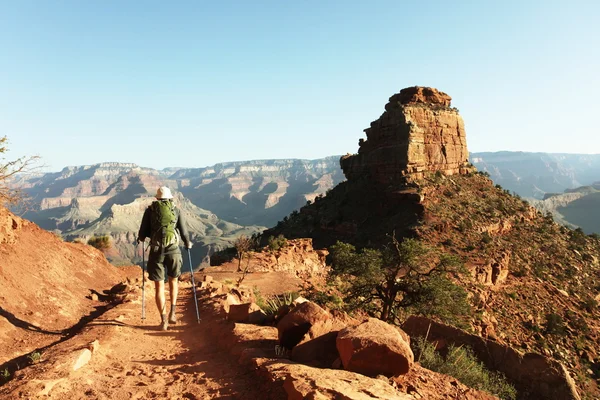 Hike in the Grand Canyon — Stock Photo, Image