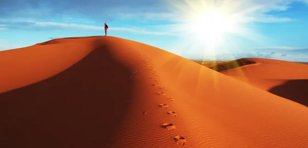 Wandelen in de woestijn — Stockfoto