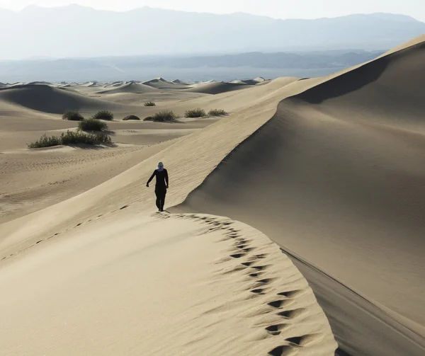 Wanderung in der Wüste — Stockfoto