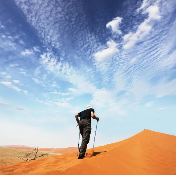 Pěšky v poušti — Stock fotografie
