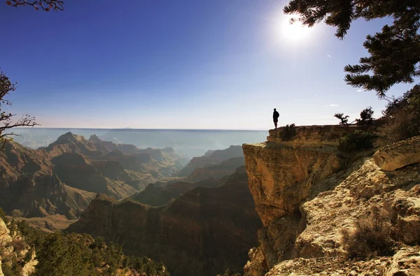 Dans le Grand Canyon — Photo
