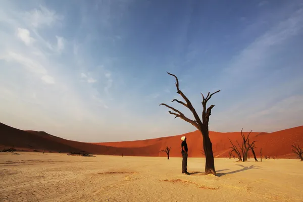 Namib — Zdjęcie stockowe